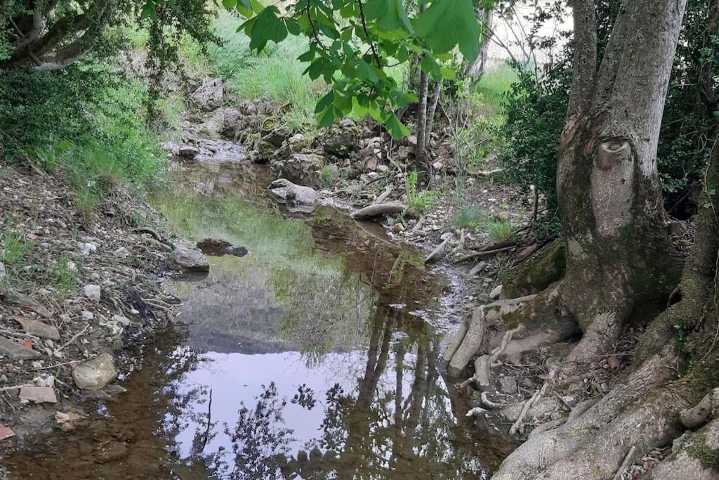 Studio Tout Confort Dans Maison De Caractere La Bastide  Exteriör bild